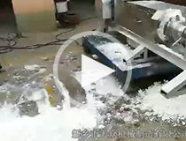 椰蓉?cái)D壓視頻